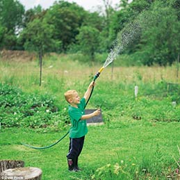 community garden
