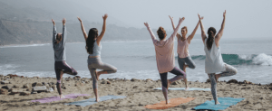 Calm Yoga & Meditation @ Community Hall, Roussillon Park