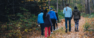 Walking Group with Everyone Active @ The Pavilion