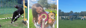 Read more about the article Four-Legged Fun Day at Graylingwell Park