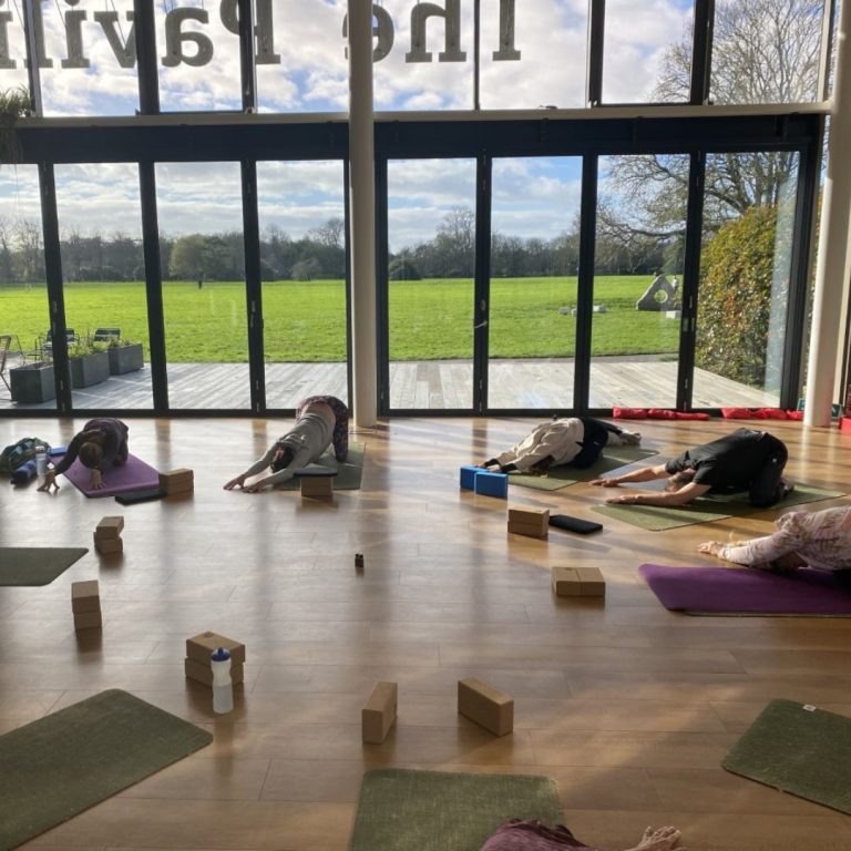 Read more about the article Enhancing the Mind and Body of the Pavilion, Chichester