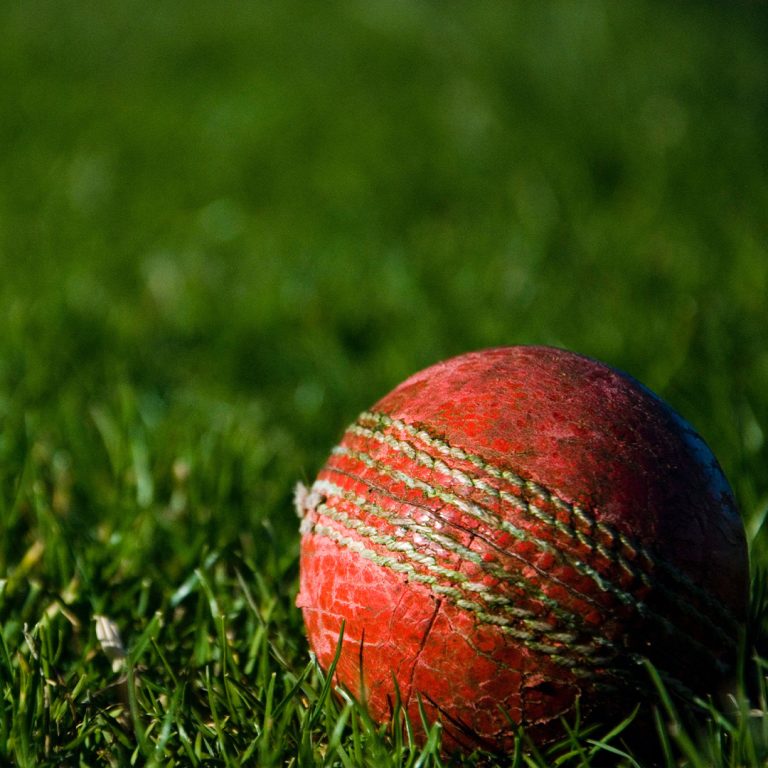 Read more about the article Cricket – Summer 2025 At Keepers Green