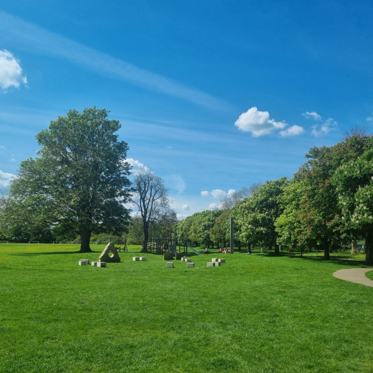 Read more about the article Unearthing the Past: The Iron Age Dyke at Graylingwell Park