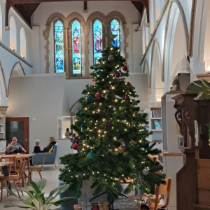 Read more about the article Chichester Community Development Trust Unveils Festive Programme to Unite the Community