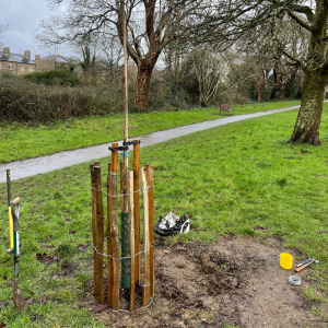 Read more about the article Planting, Pruning, and Protecting Nature at Havenstoke Park