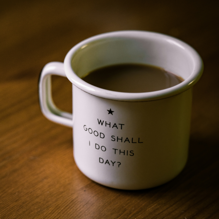 Read more about the article Get Involved: Volunteer Opportunities This Spring with CCDT! 