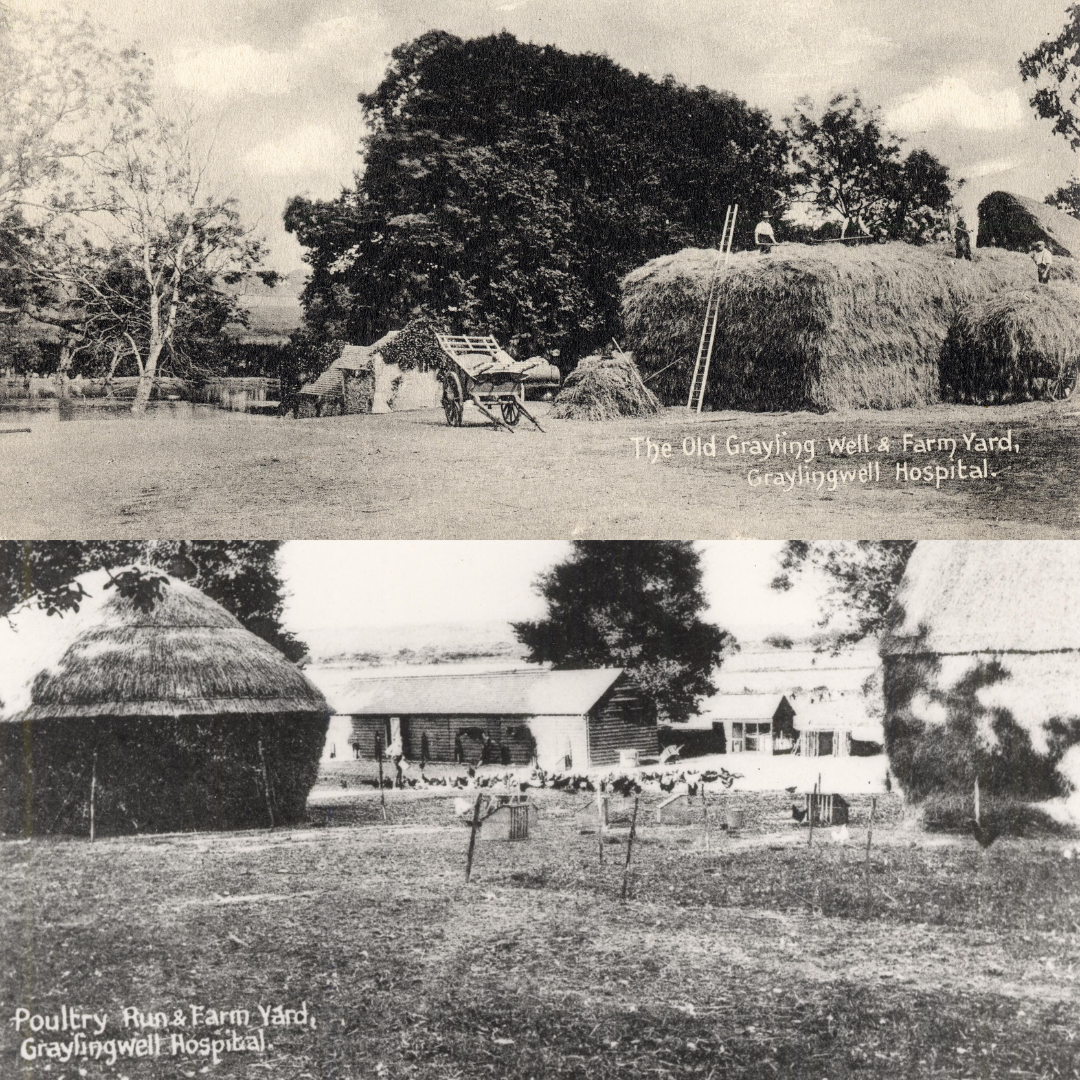 You are currently viewing The Living Story of Marchwell Stables