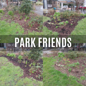 Read more about the article Park Friends: Helping Our Parks Thrive Together
