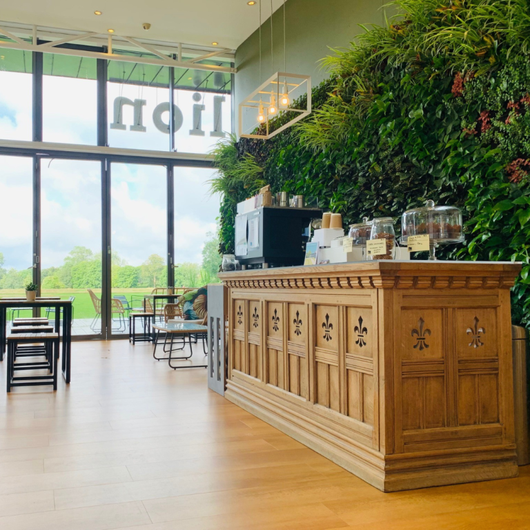 Read more about the article A New Chapter for The Pavilion: The Common Room