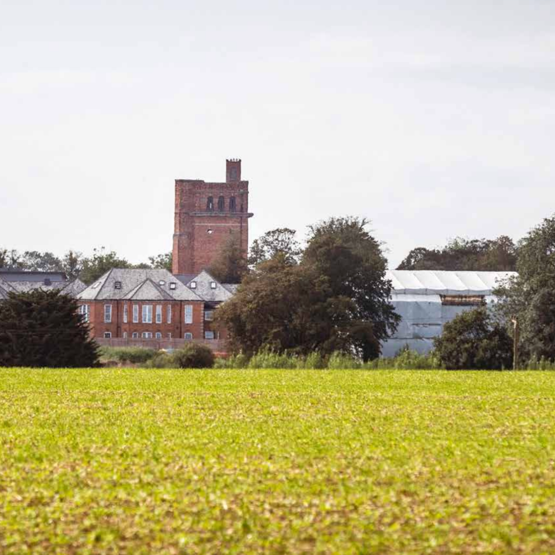 You are currently viewing Building Community, Creating Futures: The CCDT Story