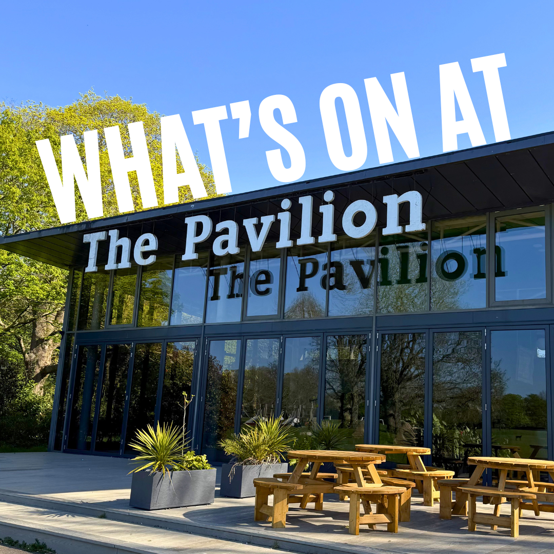 You are currently viewing This Is What Is On Your Doorstep at the Pavilion