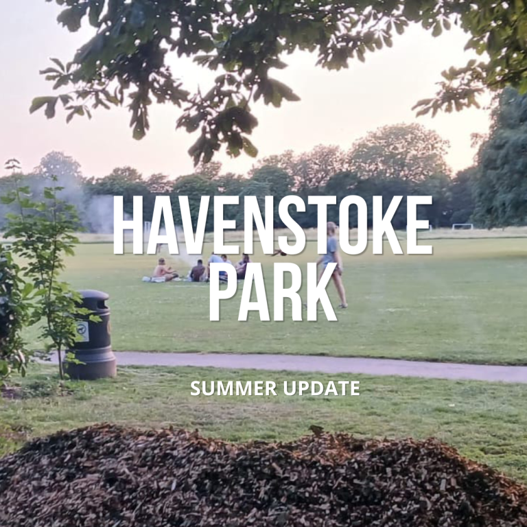 Read more about the article Havenstoke Park – Summer Update