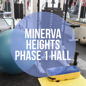 Read more about the article Make Minerva Heights’ Phase 1 Hall your home