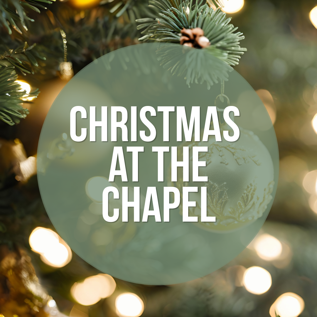 You are currently viewing Chichester CDT Christmas 2026